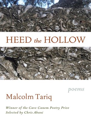 cover image of Heed the Hollow
